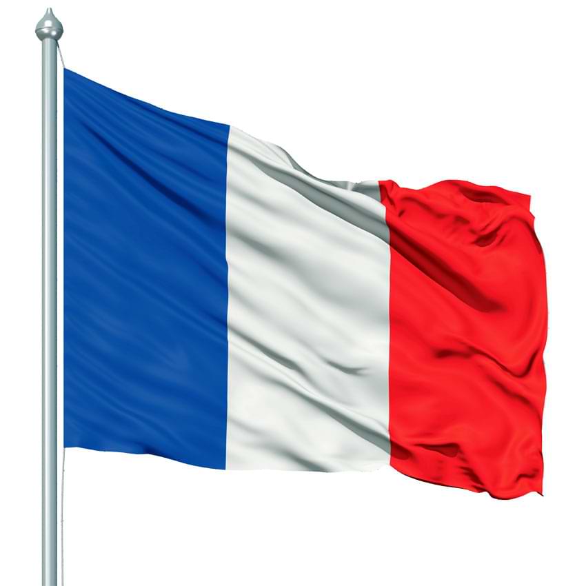 Pavillon français - 60 X 90 cm