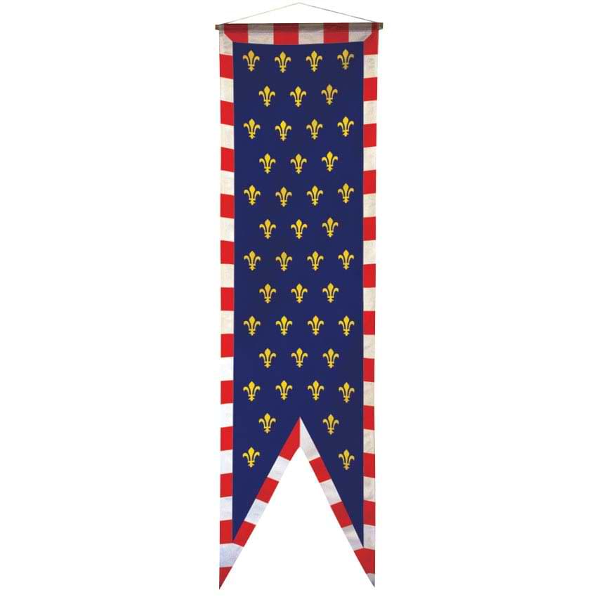 Oriflamme province historique - 50 X 150 cm