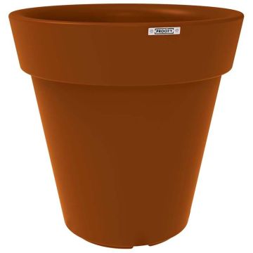 Pot urbain à plantes topiaire