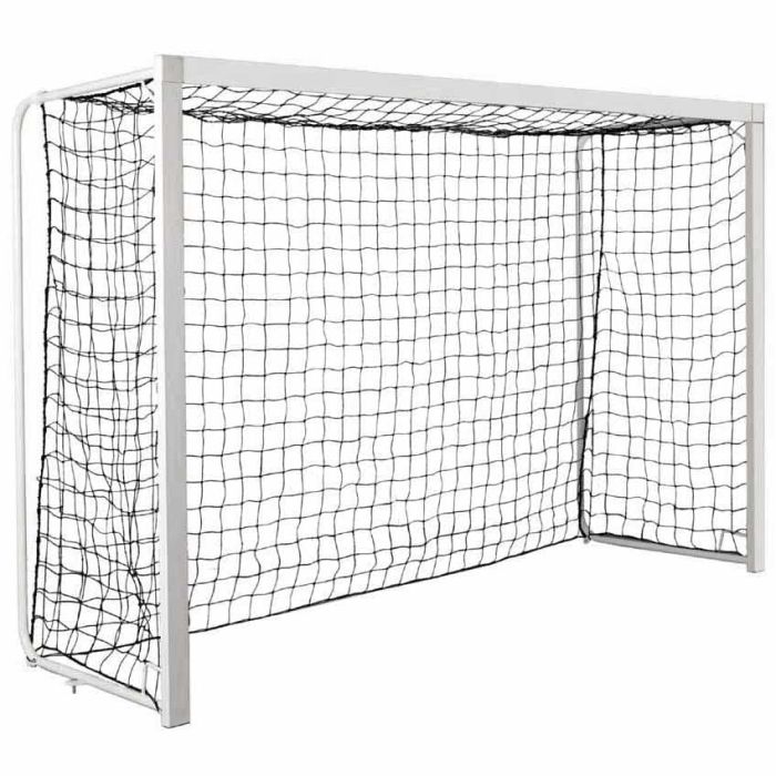 Buts scolaires multi-sports