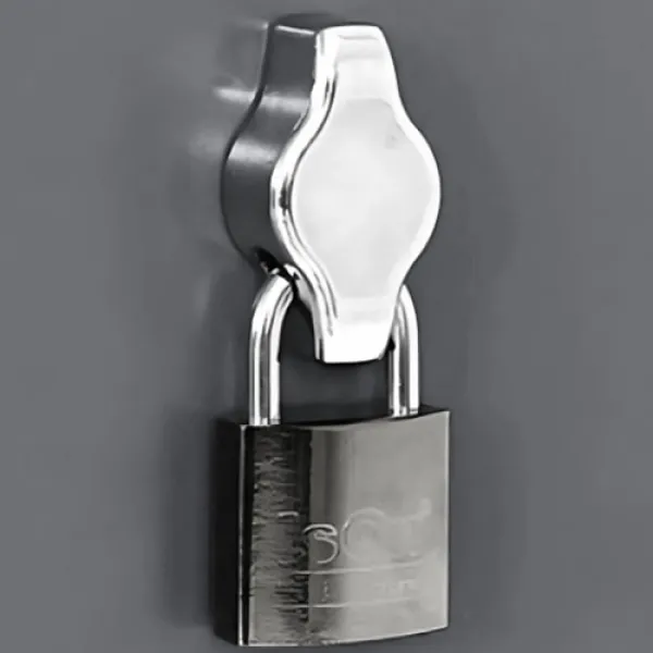 Moraillon porte-cadenas (Cadenas non fourni)